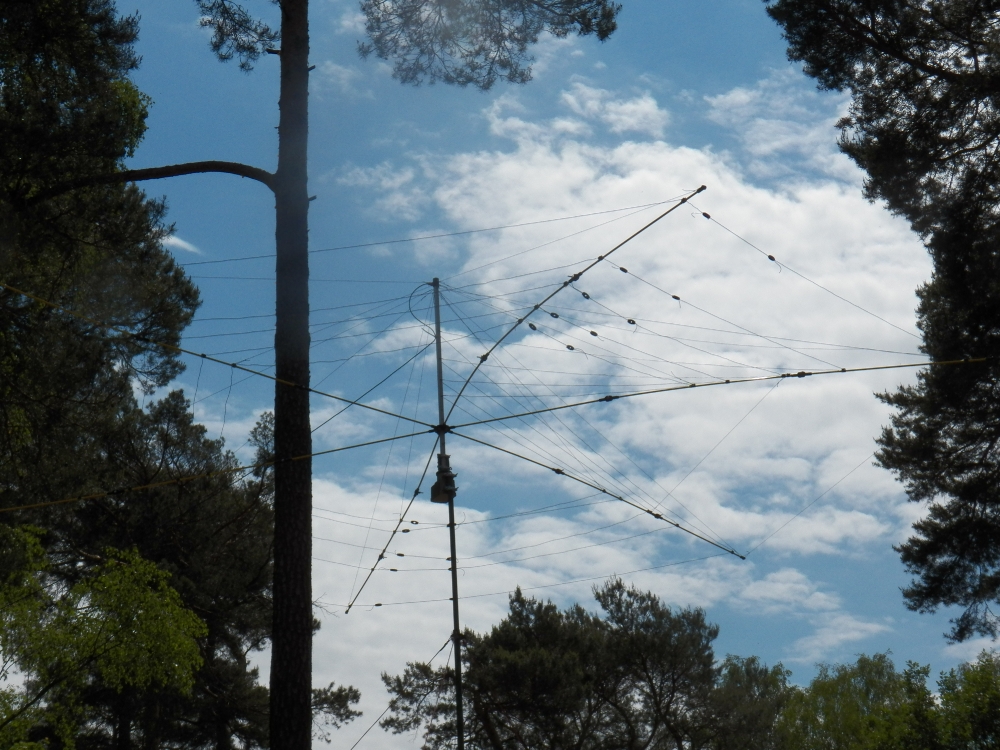 Fieldday 2014_7