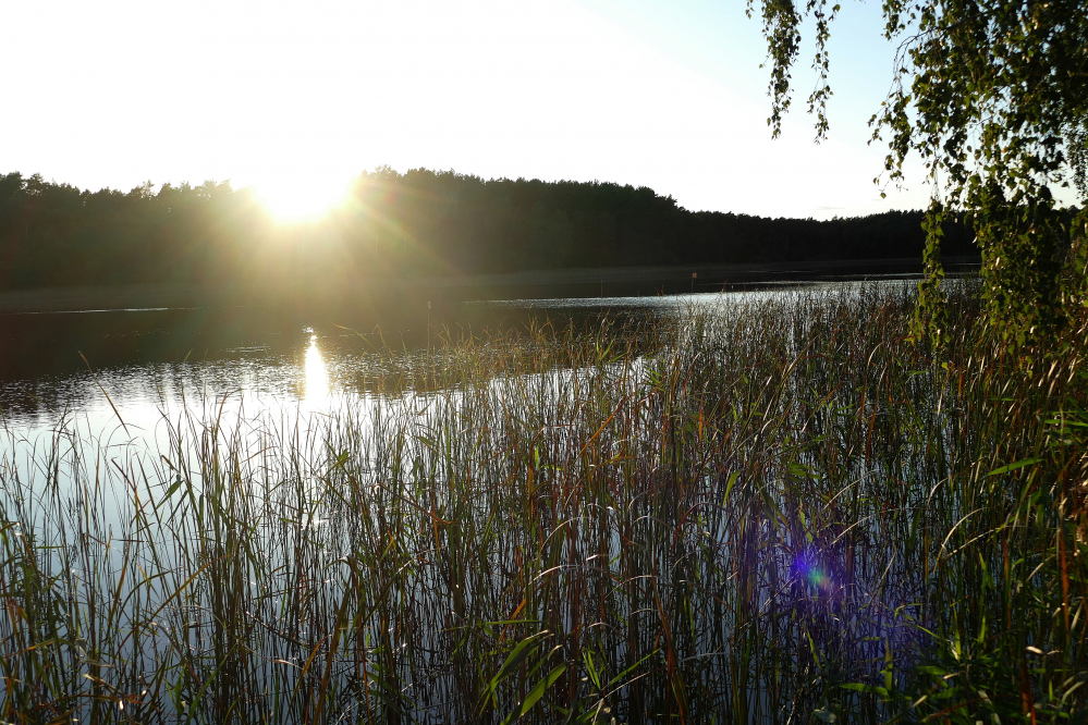 Frauensee