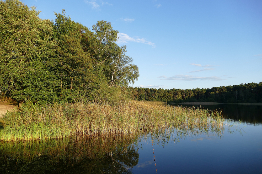 Frauensee