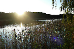 Frauensee