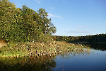 Frauensee