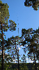 Fieldday 2025_51