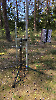 Fieldday 2025_63